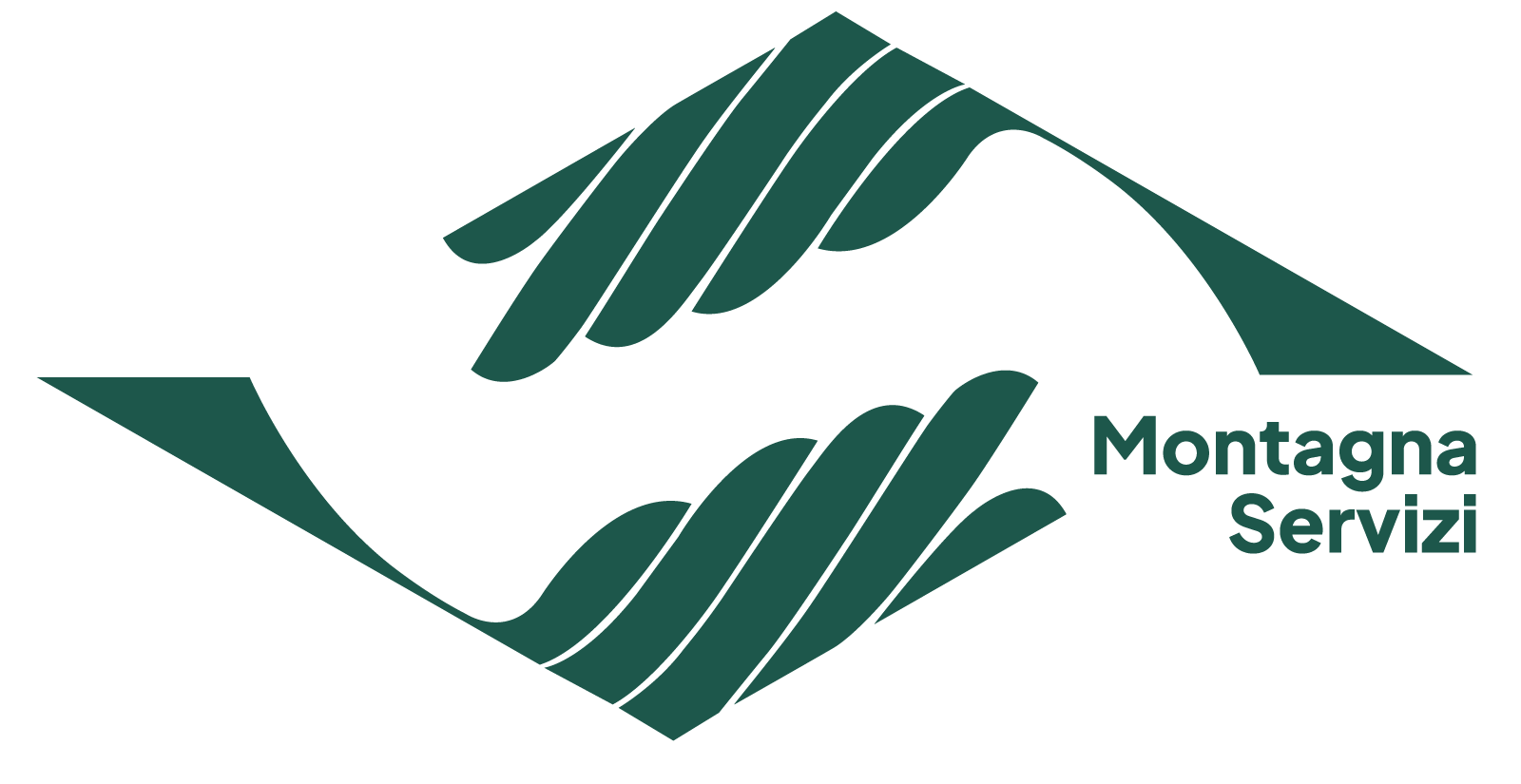 Montagna Servizi Logo